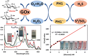 Graphical abstract: Modified perylene diimide for femto molar level detection of glucose: smartphone-assisted colorimetric glucose detection kits