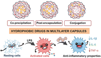 Graphical abstract: Polypeptide-based multilayer capsules with anti-inflammatory properties: exploring different strategies to incorporate hydrophobic drugs