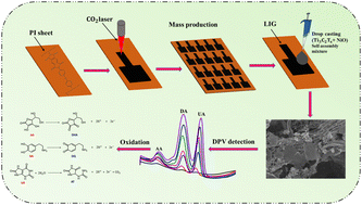 Graphical abstract: A surface modified laser-induced graphene based flexible biosensor for multiplexed sweat analysis