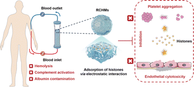 Graphical abstract: Hemocompatible nucleosome-inspired heparin-mimicking hydrogel microspheres for safe and efficient extracorporeal removal of circulating histones in critically ill patients