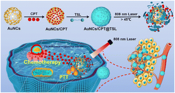 Graphical abstract: Thermosensitive liposome-encapsulated gold nanocages for photothermal-modulated drug release and synergistic photothermal therapy