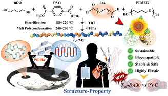 Graphical abstract: New thermoplastic poly(ester–ether) elastomers with enhanced mechanical properties derived from long-chain dicarboxylic acid for medical device applications