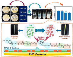 Graphical abstract: 1,4-Bis(2-hydroxyethyl)piperazine-derived water-dispersible and antibacterial polyurethane coatings for medical catheters