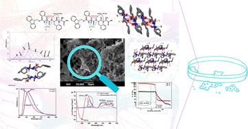 Graphical abstract: Supramolecular hydrogels derived from 2 : 1-[α/aza]-pseudopeptides: design, structural analysis and self-assembly in solution, solid, and gel states