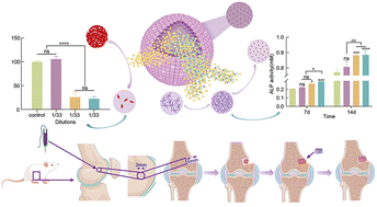Graphical abstract: Mixed-valence vanadium-doped mesoporous bioactive glass for treatment of tumor-associated bone defects