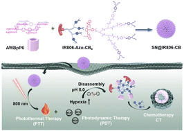 Graphical abstract: A dendritic drug–drug conjugate self-assembled hypoxia-responsive supramolecular nanoparticle for combination therapy