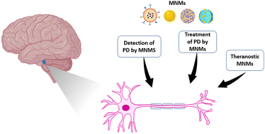 Graphical abstract: Metallic nanomaterials in Parkinson's disease: a transformative approach for early detection and targeted therapy