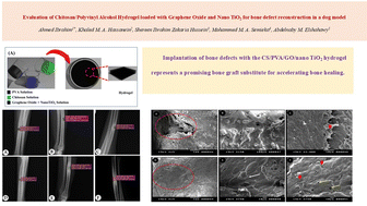 Graphical abstract: Evaluation of a chitosan/polyvinyl alcohol hydrogel loaded with graphene oxide and nano TiO2 for bone defect reconstruction in a dog model