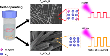 Graphical abstract: Solvent engineering of self-separating fullerene crystals for photodetectors