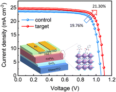 Graphical abstract: Improving the performance and stability of perovskite solar cells via surface passivation of phthalimide N-alkylammonium iodides