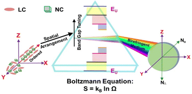 Graphical abstract: Fermi–Dirac statistics in correlation between electronic entropy and spatial confinement of liquid crystal-perovskite nanohybrids