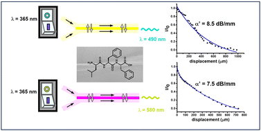 Graphical abstract: Microfluidic-driven short peptide hydrogels with optical waveguiding properties