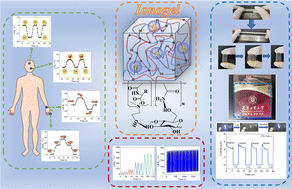 Graphical abstract: Polyionic liquid ionogels formed via hydrophobic association for flexible strain sensors