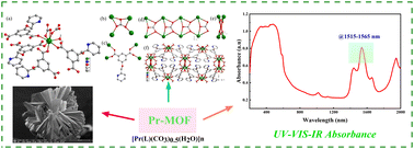 Graphical abstract: Application of Pr-MOFs as saturable absorbers in ultrafast photonics