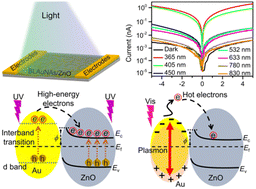 Graphical abstract: Heterostructures made from bone-like plasmonic Au nanoantennas and ZnO quantum dots for broadband photodetectors
