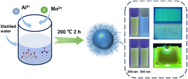 Graphical abstract: Carbon quantum dots capped with metal ions for efficient optoelectronic applications