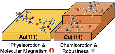 Graphical abstract: Evidence for efficient anchoring in nitroxyl radical thin films: an experimental XPS/NEXAFS and theoretical DFT/TD-DFT study