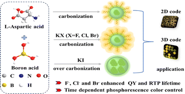 Graphical abstract: Time-dependent phosphorescence color of carbon dots in boric acid matrix for dynamic information encryption