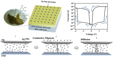 Graphical abstract: Tea helps neuromorphic computing: flexible memristors from tea polyphenols