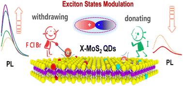 Graphical abstract: Halogen ion doping mediated exciton state modulation in MoS2 quantum dots for fluorescence tuning and optical anti-counterfeiting
