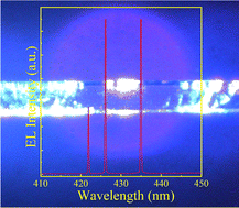 Graphical abstract: An electrically driven exciton–polariton microlaser diode based on a ZnO:Ga microribbon heterojunction