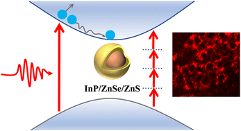 Graphical abstract: Spectroscopic properties of yellow and red InP/ZnSe/ZnS quantum dots