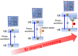 Graphical abstract: Defects and self-trapped exciton regulation in rare-earth doped all-inorganic perovskites