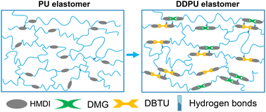 Graphical abstract: A self-healing elastomer with outstanding mechanical properties was designed based on urea bonds