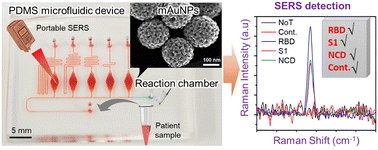 Graphical abstract: A plasmonic mesoporous gold-based SERS-microfluidic platform for the detection of infectious diseases