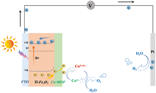 Graphical abstract: In situ formation of a Co-MOF/Ti–Fe2O3 photoanode for efficient photoelectrochemical water splitting