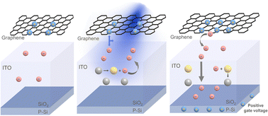 Graphical abstract: Graphene enhanced charge transfer in ITO optoelectronic synapses for artificial vision systems
