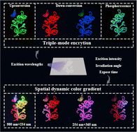 Graphical abstract: Multi-wavelength excitation-dependent fluorescence with dynamic color gradients for information encryption and anti-counterfeiting