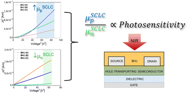Graphical abstract: Photo-gain optimization in multilayer organic phototransistors by study of space-charge limited current