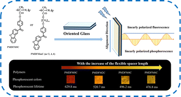 Graphical abstract: Synthesis and property modulation of linearly polarized luminescent side-chain polymers with room-temperature phosphorescence