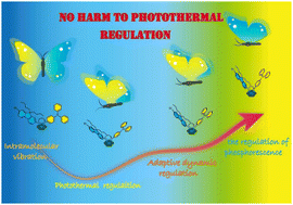 Graphical abstract: Regulating emissions of a o-carborane-based molecule through molecular vibrations coupled with molecular orientations in solid states