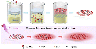 Graphical abstract: A smart microporous block copolymer membrane containing fluorescent europium complexes reports drug release through fluorescence changes