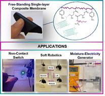Graphical abstract: Facile fabrication of dual-conductivity, humidity-responsive single-layer membranes: towards advanced applications in sensing, actuation, and energy generation