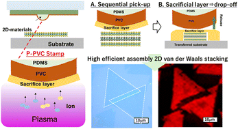 Graphical abstract: Assembly of van der Waals structure from CVD-grown 2-dimensional materials using plasma-treated polyvinyl chloride