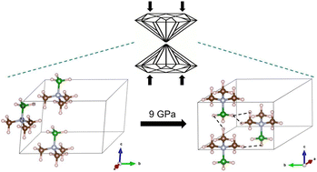 Graphical abstract: Pressure mediated phase transition and dihydrogen bonding formation in trimethylamine borane