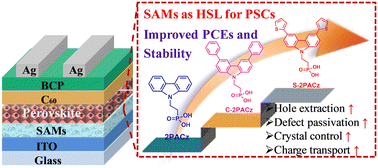 Graphical abstract: Simultaneously enhancing hole extraction and defect passivation with more conductive hole-selective self-assembled molecules for efficient inverted perovskite solar cells