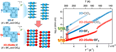 Graphical abstract: Higher conductivity in doped ethylenedioxythiophene (EDOT) dimers with chalcogen-substituted end groups