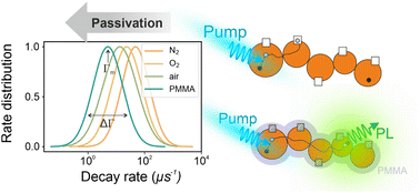 Graphical abstract: Interplay between connectivity and passivating agents in perovskite quantum dot networks
