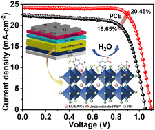 Graphical abstract: Enhancing the efficiency and stability of inverted perovskite solar cells by using 6-(trifluoromethyl)nicotinic acid as a potent defect passivator