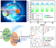 Graphical abstract: A high-performance organic–inorganic self-powered broadband photodetector based on PANI/Bi2O2S nanocomposites