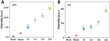Graphical abstract: Development point-of-care based lateral flow biosensor for the rapid detection of exosomes of subarachnoid hemorrhage patients