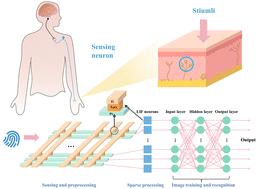 Graphical abstract: A TaOx-based self-rectifying memristor for a highly compact thermal in-sensor computing system