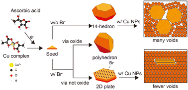 Graphical abstract: Formation mechanism of micro-sized Cu plates using Br ions as basal plane-specific adsorbent and their application in the preparation of highly conductive and flexible Cu films