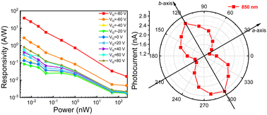 Graphical abstract: A polarized near-infrared organic phototransistor based on a narrow-band SnPc single crystal