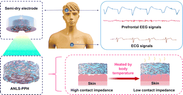 Graphical abstract: A smart electrolyte-replenishing semi-dry electrode based on a temperature-responsive hydrogel for sustainable electrophysiological signal acquisition