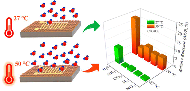 Graphical abstract: Delafossite CuGaO2 nanomaterial-based room temperature H2S selective gas sensor